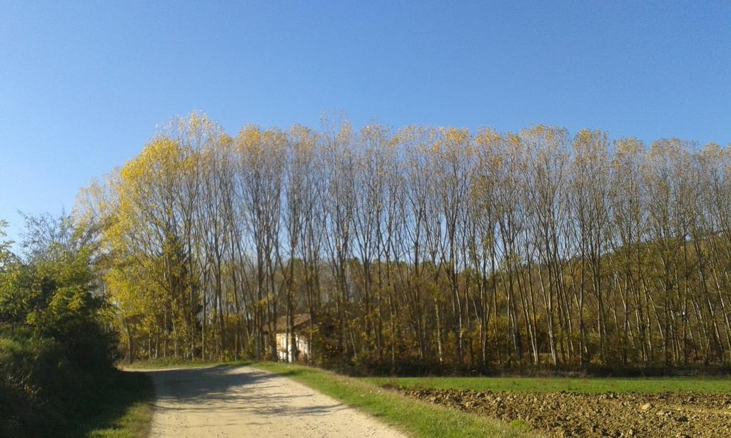 Vista Sul Patrimonio Dell'Unesco Cortiglione Eksteriør billede